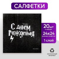 Салфетки «С днем рождения. Гарри Поттер» 20 шт. Минск +375447651009