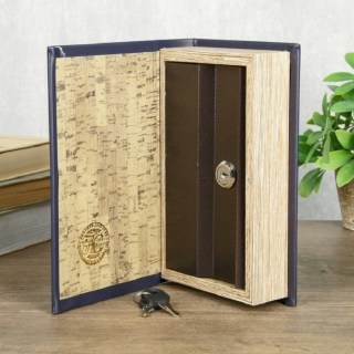 Сейф-книга «История династии. Ротшильды» 21 см  фото