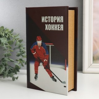 Сейф-книга «Хоккей» 21 см. фото