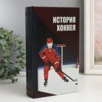 Сейф-книга «Хоккей» 21 см. Минск +375447651009