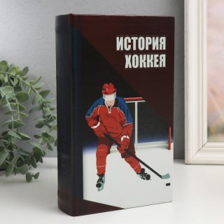 Сейф-книга «Хоккей» 21 см. купить