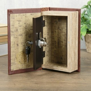 Сейф-книга «Книга успешного человека» 17 см фото