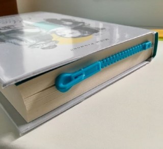 Закладка в книгу «Молния» цвет микс купить